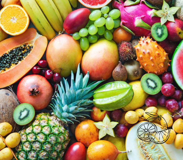 fruits vegetable export
